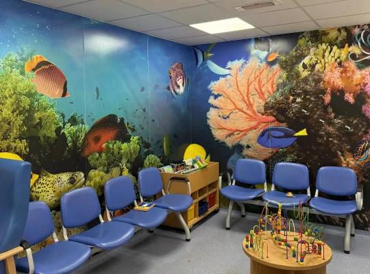 Wall Cladding